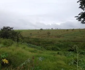 Residencial Dona Amélia